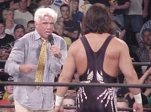 flair_sting.jpg (24507 bytes)