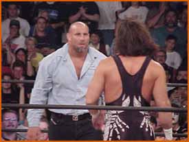 goldberg_sting_t1.jpg (15565 bytes)
