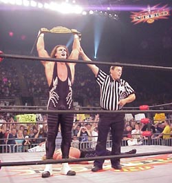 sting.jpg (26245 bytes)