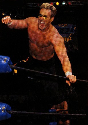 Sting2.jpg (35341 bytes)